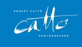 Robert Catto logo